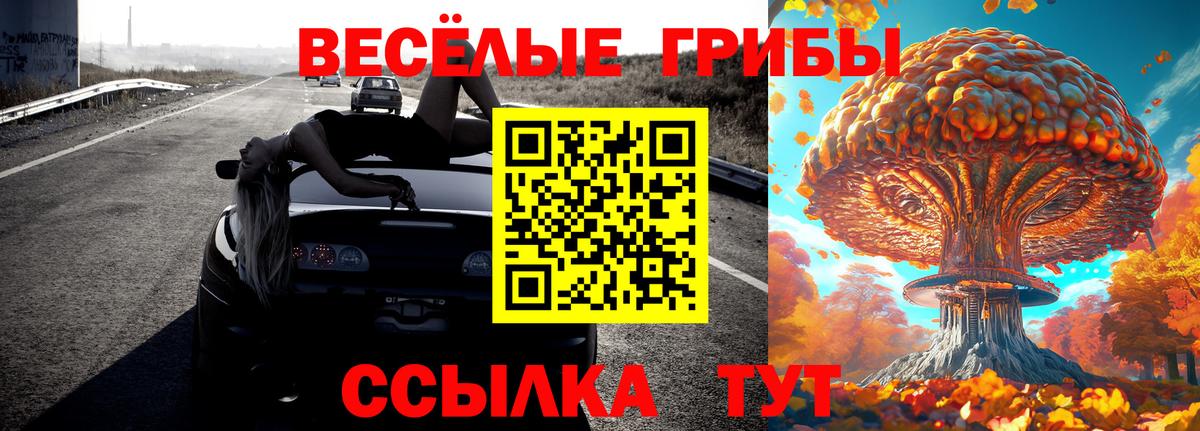 Псилоцибиновые грибы ЛСД  где найти наркотики  Черняховск  Псилоцибиновые грибы GOLDEN TEACHER  Вход с VPN 